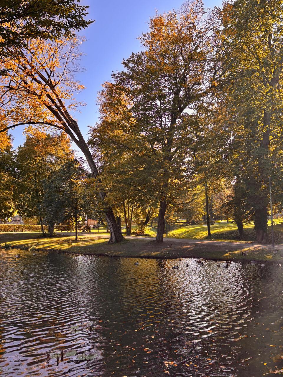 Adriane Kotzott nahm diese Herbststimmung im Velener Schlosspark auf.