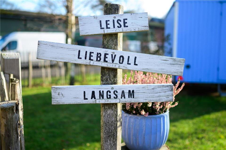 Ängste, Autismus oder Demenz - Tiere wirken beruhigend und können Patienten helfen.  (Archivbild)Philipp Schulze/dpa