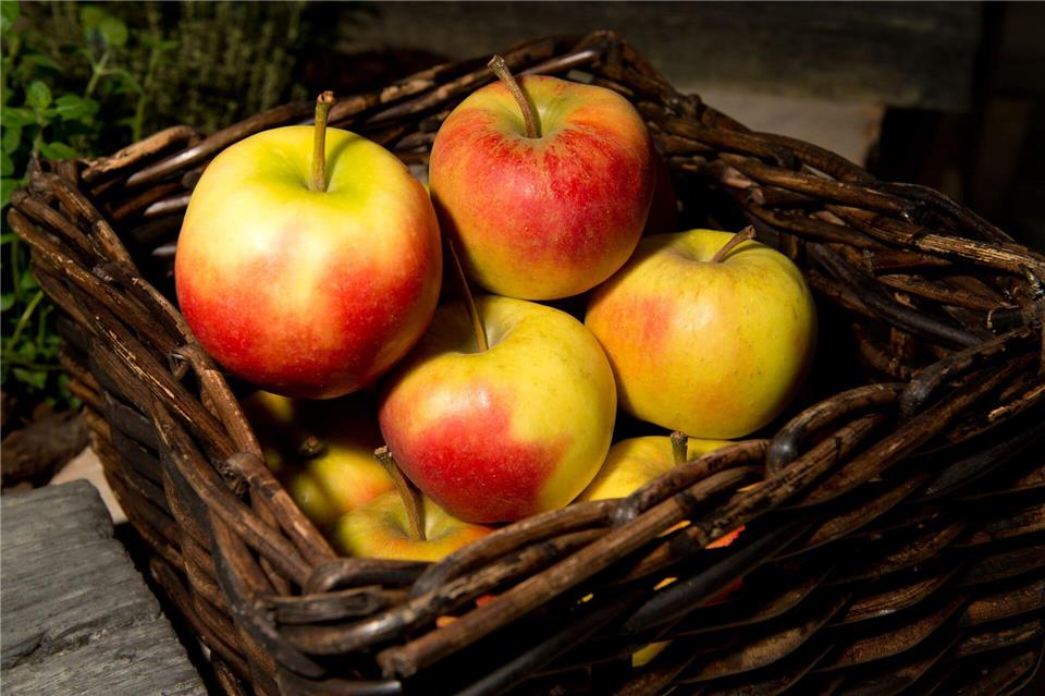 Äpfel lagern besser nicht neben anderem Obst - sie sondern ein Gas ab, durch das Früchte in ihrer Nähe schneller verderben.Franziska Gabbert/dpa-tmn