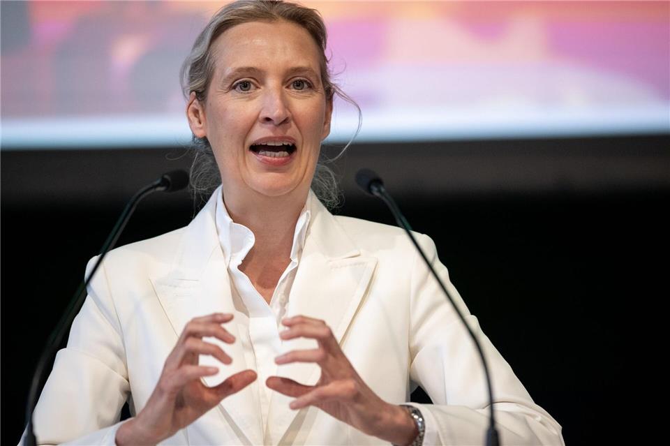AfD-Bundeschefin Alice Weidel forderte Geschlossenheit des AfD-Landesverbandes.Fabian Strauch/dpa