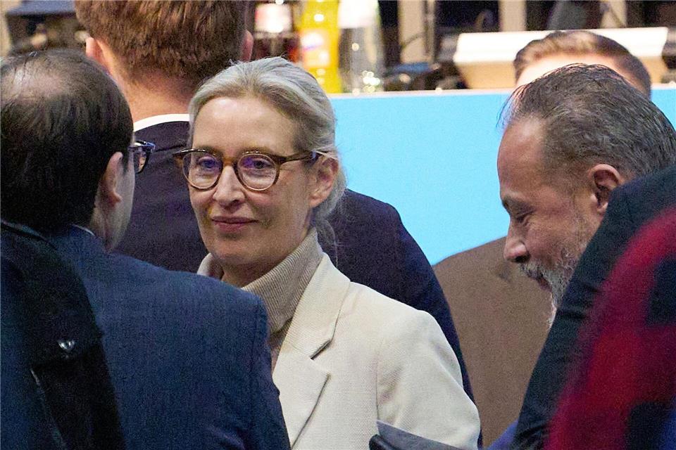 AfD-Chefin Alice Weidel: Die neue AfD-Jugendorganisation soll „Kaderschmiede“ sein. Thomas Frey/dpa