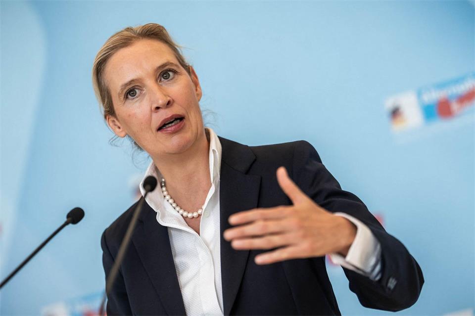 AfD-Chefin Alice Weidel Michael Kappeler/dpa