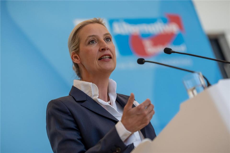 AfD-Chefin Alice Weidel bemängelt, die Empfehlungen der Rentenkommission seien nicht ausreichend.Michael Kappeler/dpa