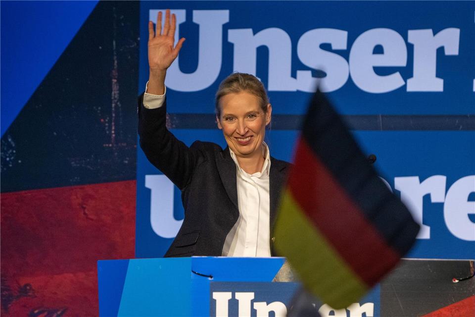 AfD-Chefin Alice Weidel übt scharfe Kritik an der Bundesregierung. Harald Tittel/dpa