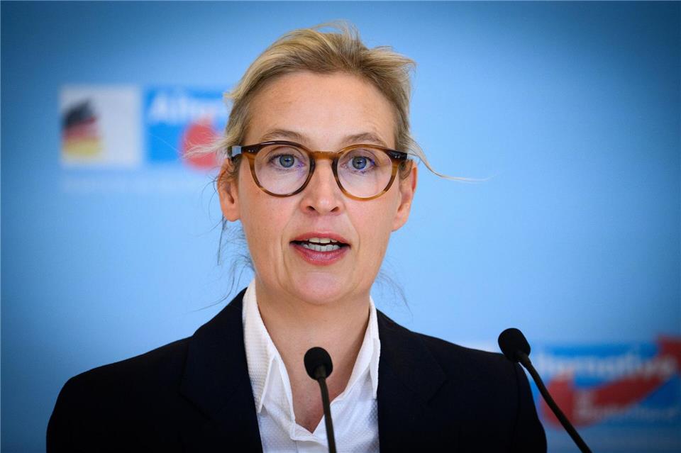 AfD-Chefin Alice Weidel vergleicht den Verfassungsschutz mit der Stasi in der DDR (Archivbild). Bernd von Jutrczenka/dpa
