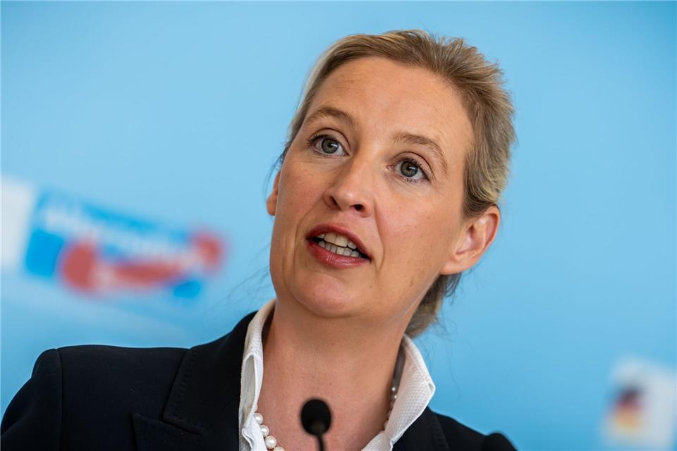AfD-Chefin Weidel kann sich über gute Umfragewerte freuen. (Archivbild)Michael Kappeler/dpa