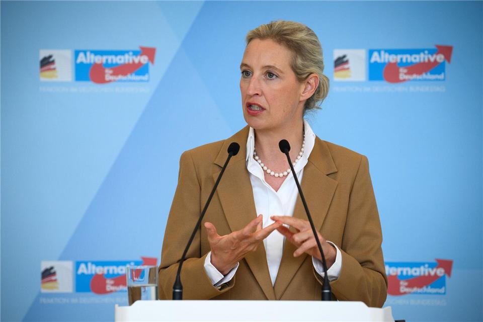 AfD-Chefin Weidel stellt das Schengen-Abkommen infrage. (Archivbild)Bernd von Jutrczenka/dpa
