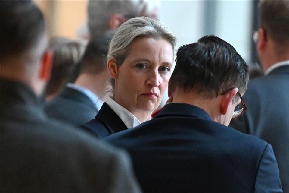 AfD-Chefin Weidel warnt vor Gewalt gegen AfD-Mitglieder.Elisa Schu/dpa