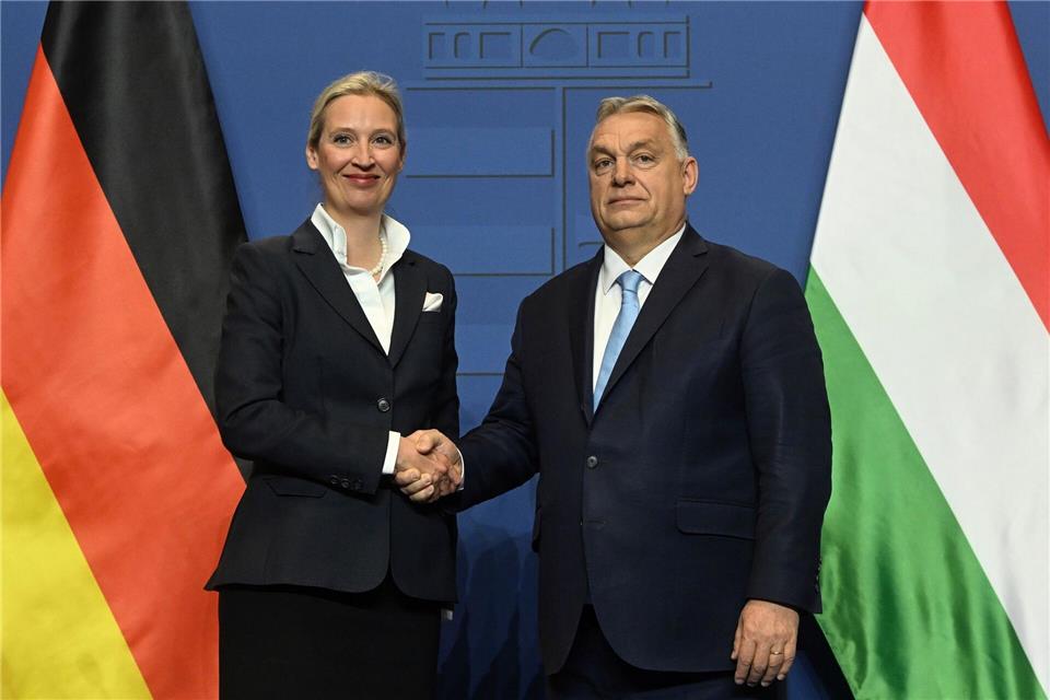 AfD-Parteichefin Alice Weidel pflegte ein enges Verhältnis mit Ungarns jetzt abgewähltem Regierungschef Viktor Orban. (Archivbild)Szilard Koszticsak/MTI/AP/dpa