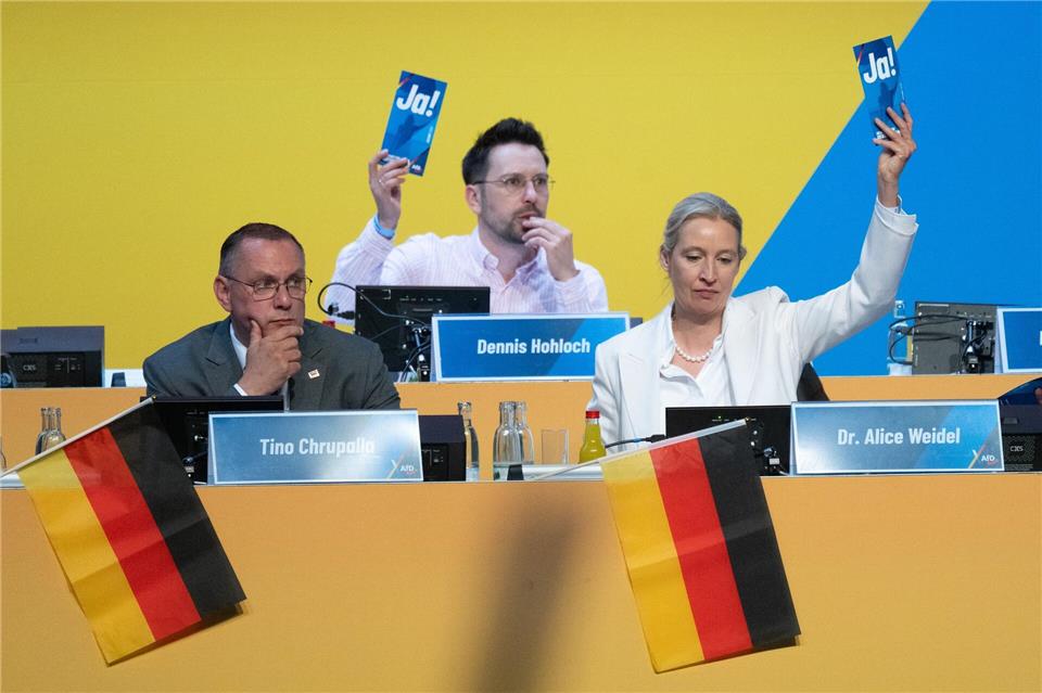AfD beendet Parteitag und blickt nun auf drei Landtagswahlen. Sebastian Kahnert/dpa
