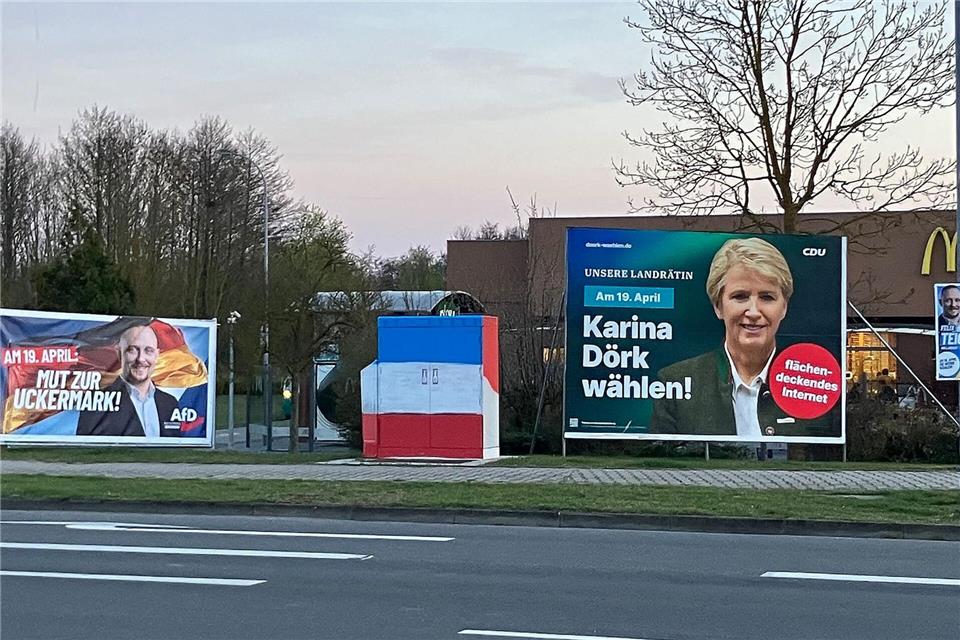 AfD gegen CDU: Im Wahlkampf dürfen auch große Plakate an Straßen nicht fehlen. Monika Wendel/dpa