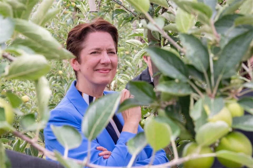 Agrarministerin Silke Gorißen (CDU)  lässt sich den Einsatz von KI zur Erforschung und Verbesserung des Apfelanbaus erklären. (Archivbild)Benjamin Westhoff/dpa