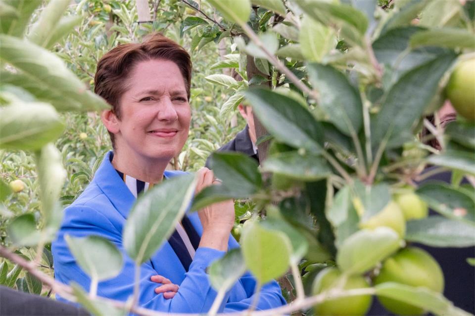 Agrarministerin Silke Gorißen (CDU) lässt sich den Einsatz von KI zur Erforschung und Verbesserung des Apfelanbaus erklären. (Archivbild)Benjamin Westhoff/dpa