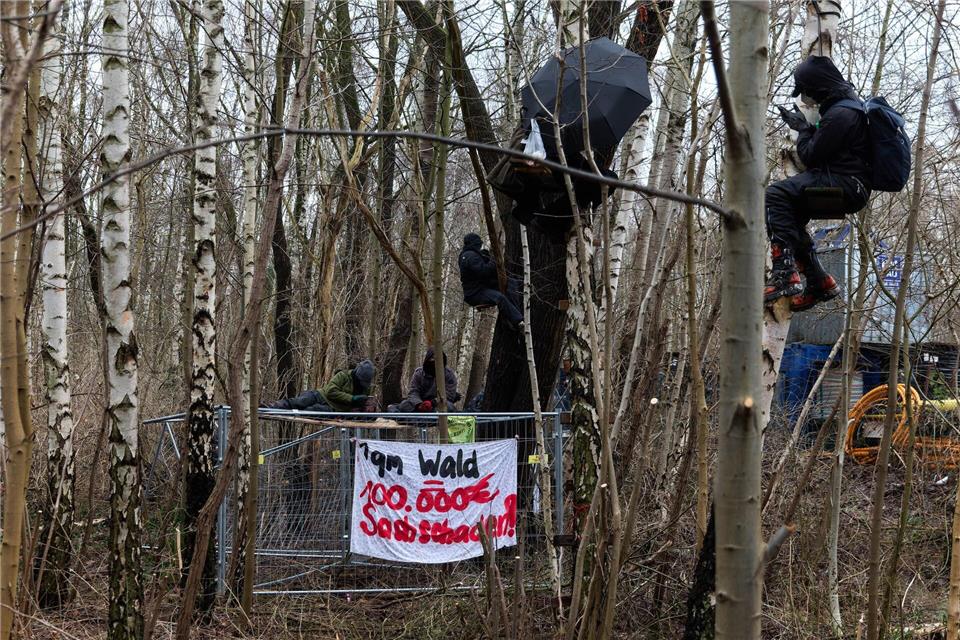 Aktivisten besetzten Bäume in dem Waldstück. Marcus Golejewski/dpa