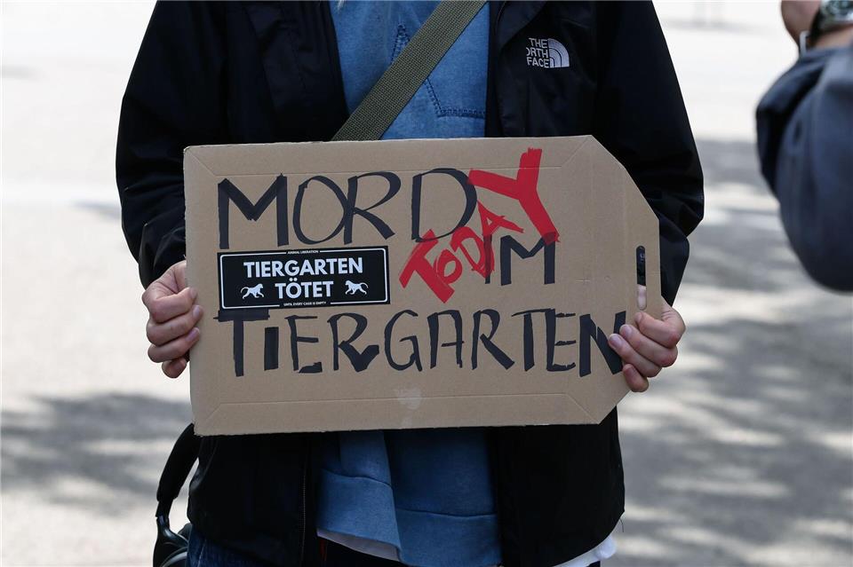 Aktivistinnen und Aktivisten versammelten sich am 29. Juli 2025 vor dem geschlossenen Tiergarten, um gegen die Tötung der Paviane zu demonstrieren. Einige drangen später in den Zoo ein. (Archivbild)Daniel Löb/dpa