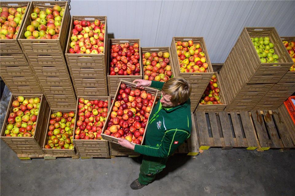 Aktuell stehen Äpfel im Mittelpunkt des Angebots.Klaus-Dietmar Gabbert/dpa