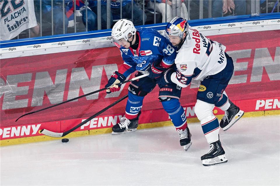Alexander Ehl und Patrick Hager kämpfen um den Puck - am Ende hatte Mannheim die Nase vorn. (Archivbild)Uwe Anspach/dpa