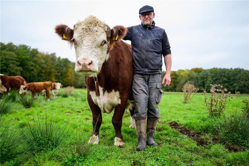Alexander Schmidt, Rinderzüchter, steht auf einer Wiese neben dem Hereford-Rind mit dem Namen Simba.Philipp Schulze/dpa