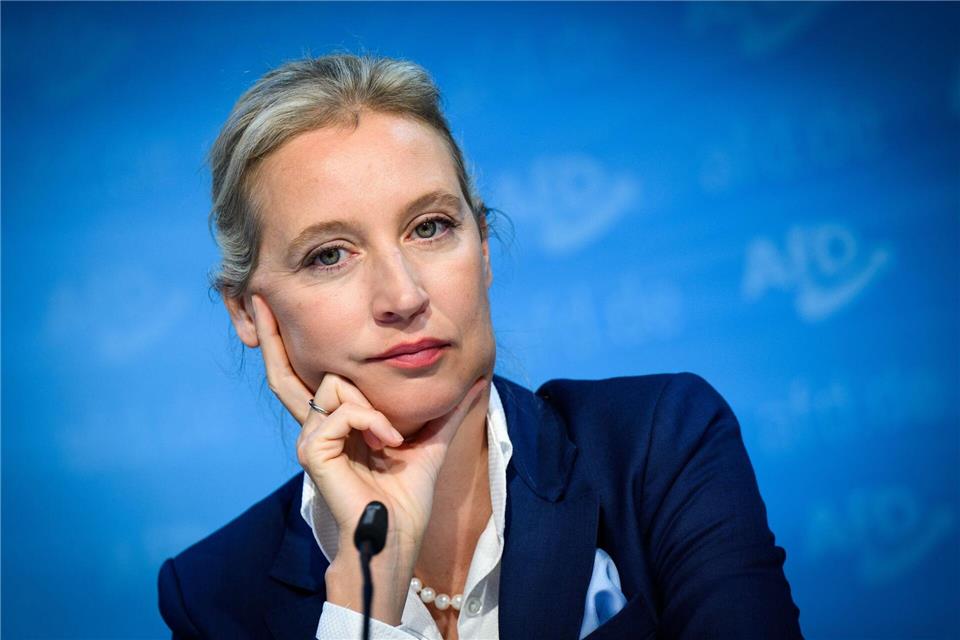 Alice Weidel soll einer Vorabsprache zufolge Kanzlerkandidatin der AfD werden (Archivbild)Bernd von Jutrczenka/dpa