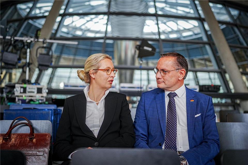 Alice Weidel soll einer Vorabsprache zufolge Kanzlerkandidatin der AfD werden (Archivbild)Kay Nietfeld/dpa