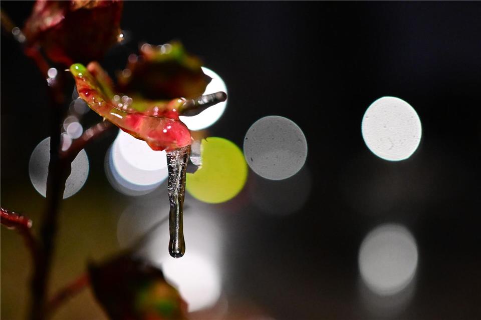 Alle Unwetterwarnungen für Berlin und Brandenburg sind aufgehoben.Sebastian Gollnow/dpa