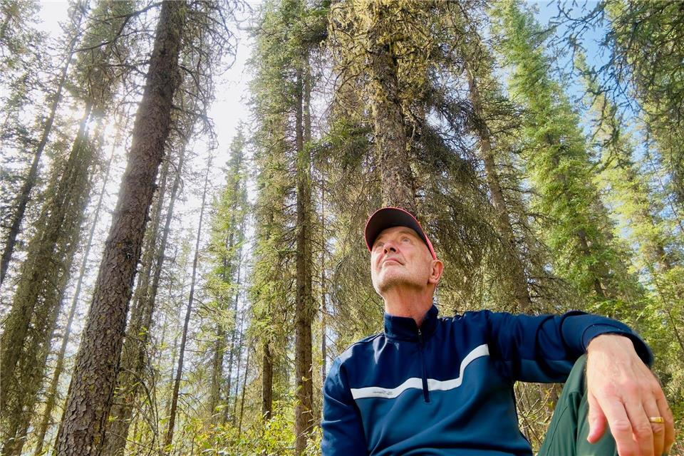 Allein unter stracken Koniferen: Da bleibt Zeit für nichts und alles.Ole Helmhausen/dpa-tmn