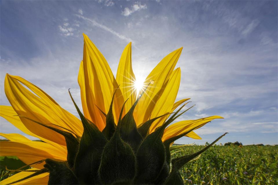 Allerbestes Wetter ist bis Ende September gemeldet. (Archivfoto) Thomas Warnack/dpa