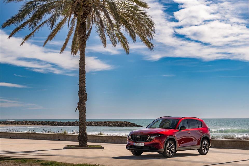 Alles paradiesisch? Hm, zumindest zeigte sich der Tester der Neuauflage gegenüber gar nicht abgeneigt - wo liegen Kritikpunkte?Mazda/dpa-tmn