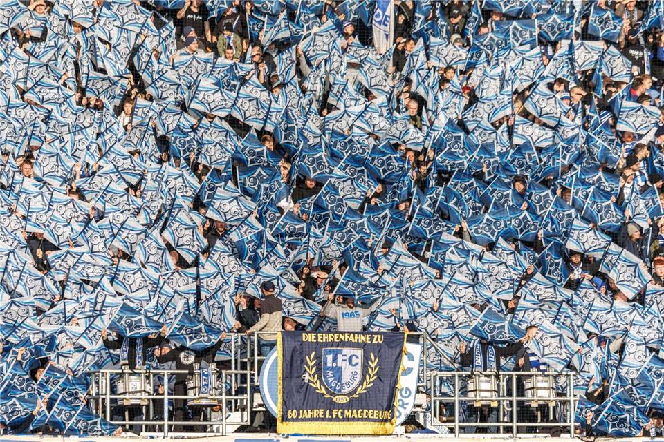 Alles weiß und blau. Fans vom 1. FC Magdeburg feuern ihr Team mit Fahnen beim Spiel gegen Holstein Kiel an.Andreas Gora/dpa