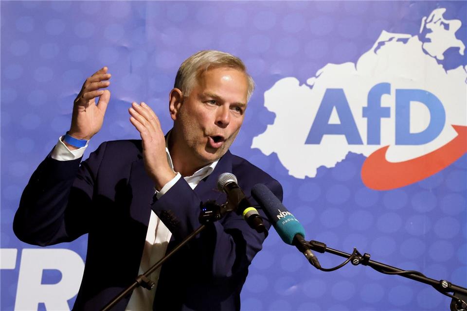 Als Ministerpräsidentenkandidat tritt Landeschef Leif-Erik Holm an. Bernd Wüstneck/dpa