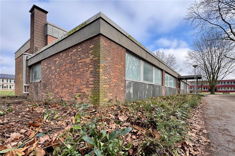 Als Vorarbeit der Sanierung wurde bereits das Grün rund um die Halle zurückgeschnitten.