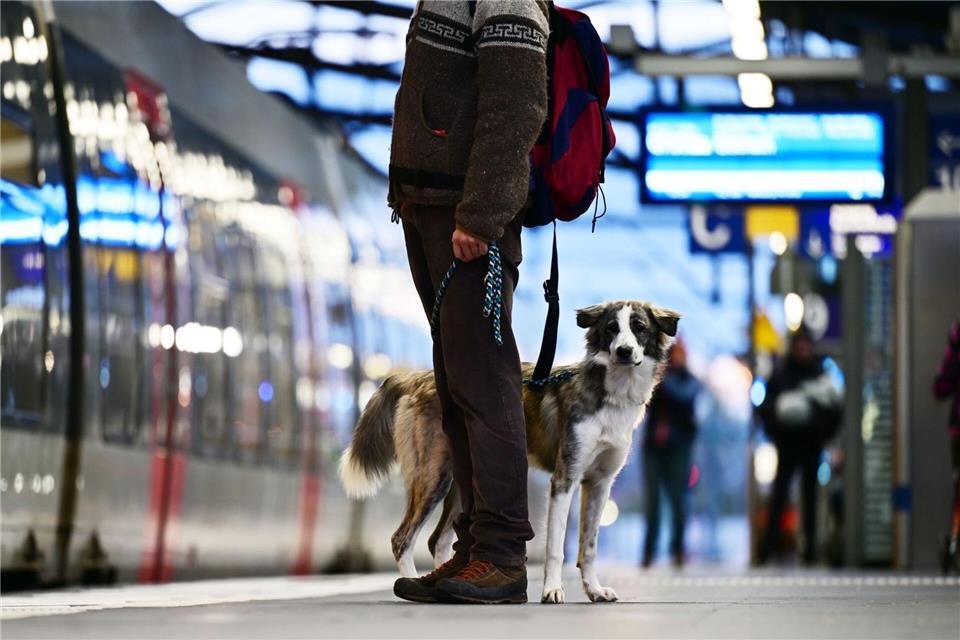 Kostenlos mit „Öffis“ durch Mittelthüringen am 1. November Am 1. November können alle Fahrgäste im Verbundgebiet des Verkehrsverbunds Mittelthüringen kostenlos mit Bus, Zug und Straßenbahn fahren. (Symbolbild)Martin Schutt/dpa