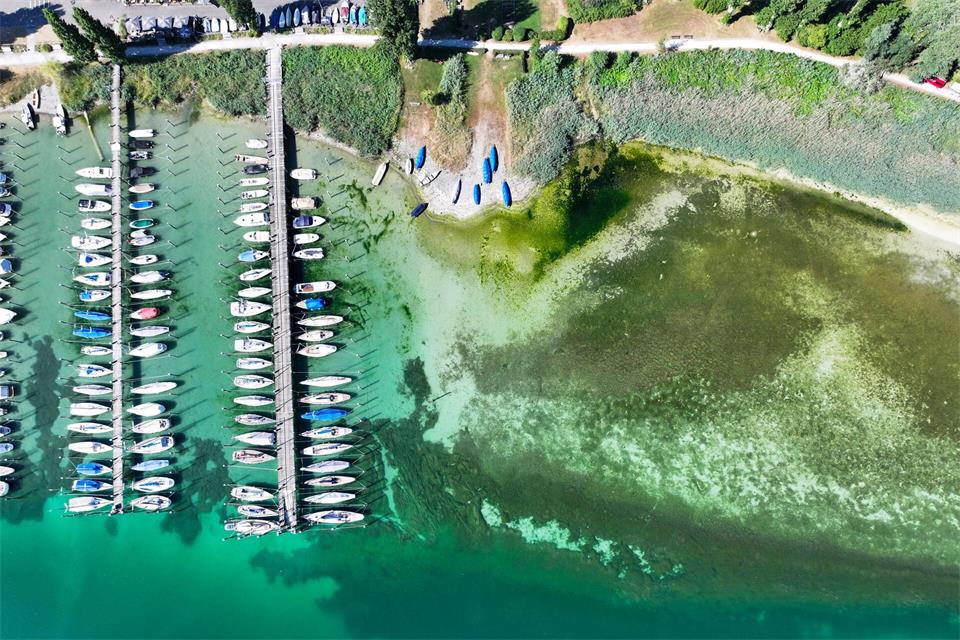 Am Bodensee werden täglich neue Minimalwerte für den jeweiligen Tag gemessen.(Archiv)Felix Kästle/dpa