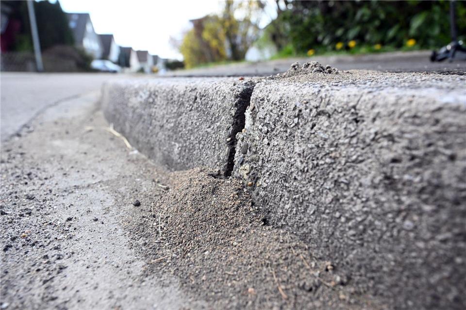 Am Bordstein einer Straße sind Schäden zu sehen, die durch Ameisen hervorgerufen wurden. (Archivbild)Uli Deck/dpa