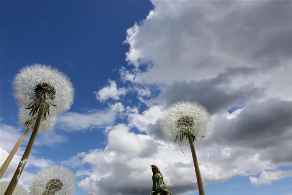 Am Dienstag erwartet Bayern vielerorts ein Sonne-Wolken-Mix. (Symbolbild) Thomas Warnack/dpa