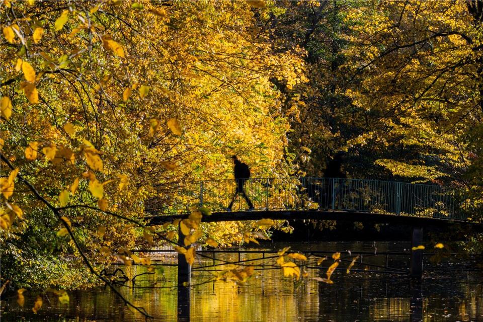 Am Donnerstag gibt es in NRW sonniges Wetter.Rolf Vennenbernd/dpa
