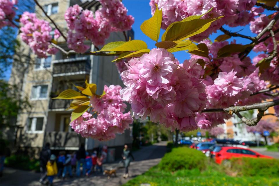 Am Donnerstag steigt das Thermometer laut Deutschem Wetterdienst in Teilen Ostdeutschlands auf bis zu 20 Grad. (Archivbild)Hendrik Schmidt/dpa