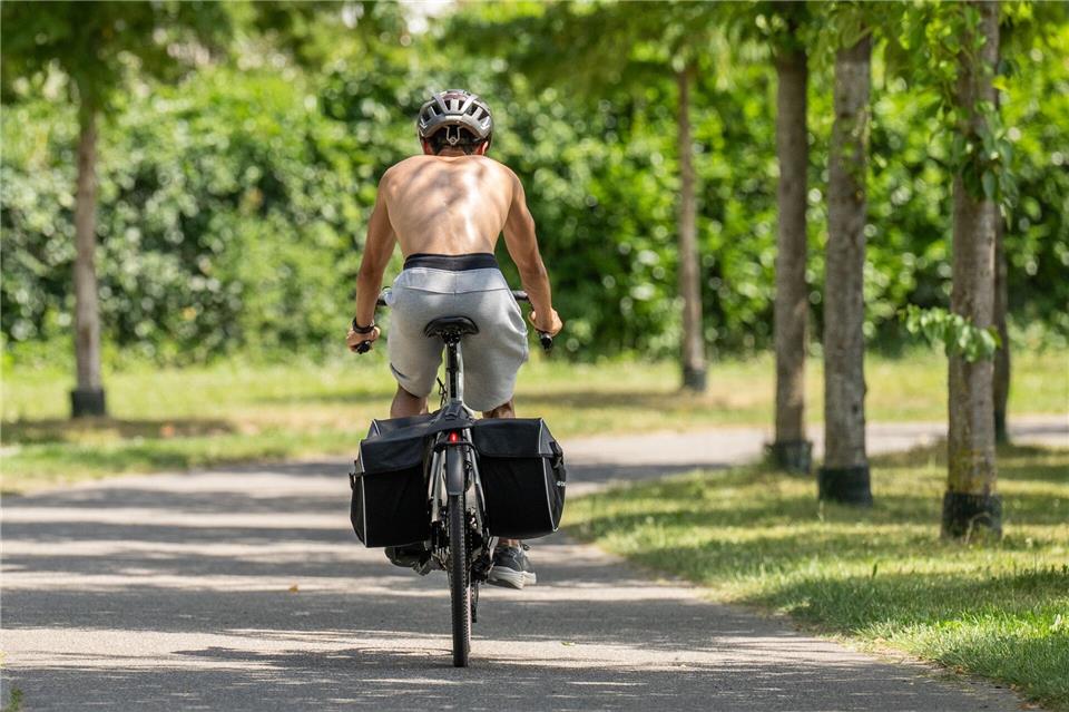 Am Donnerstag werden laut DWD Höchsttemperaturen von bis zu 38 Grad erwartet. (Symbolbild)Silas Stein/dpa