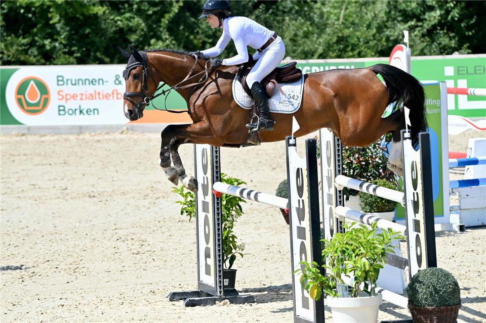 Am Freitag in der Springpferdeprüfung der Klass M* über 1,25 Meter am Start, aber nicht platziert: die Borkenerin Larissa Dücker aus dem Pferdezuchtbetrieb Dowe auf Cornet‘s Heartbreaker.