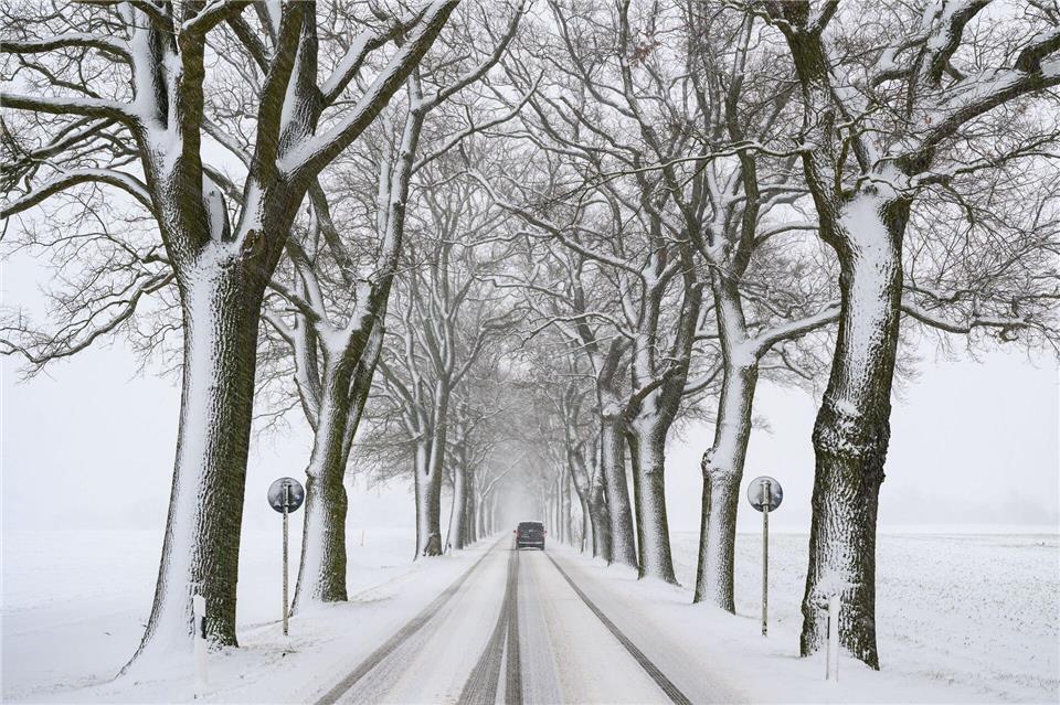 Am Freitag soll es bis zu zehn Zentimeter Neuschnee geben. (Archivbild)  Patrick Pleul/dpa