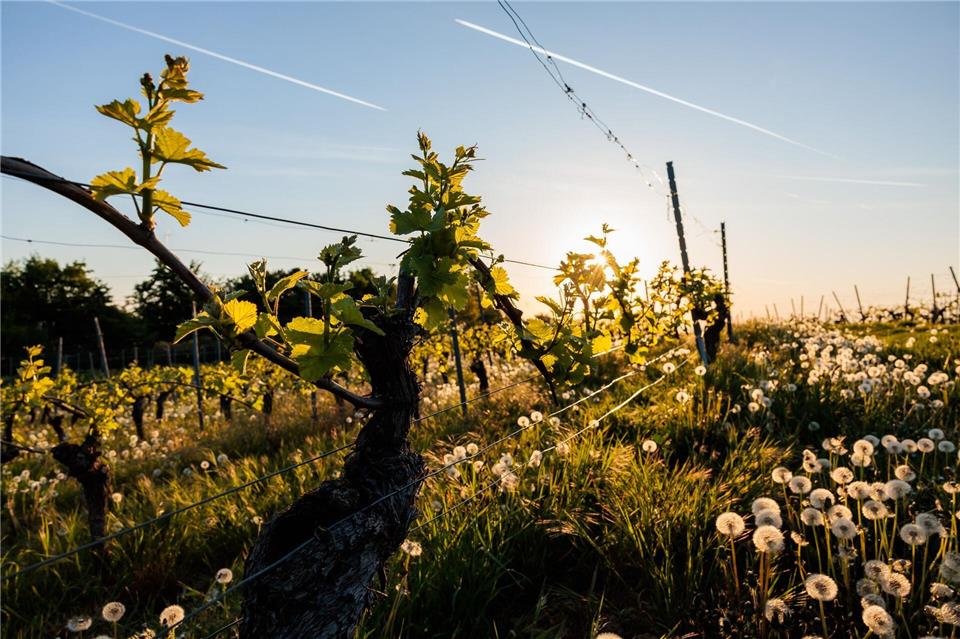 Am Freitag unbedingt noch mal raus.Jörg Halisch/dpa