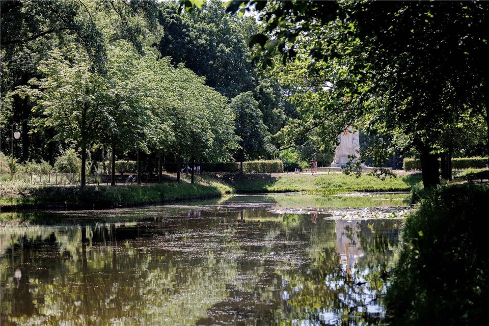 Am Goldfischteich im Berliner Tiergarten soll ein Denkmal für die während der NS-Zeit verfolgten Zeugen Jehovas entstehen. (Archivbild)Carsten Koall/dpa