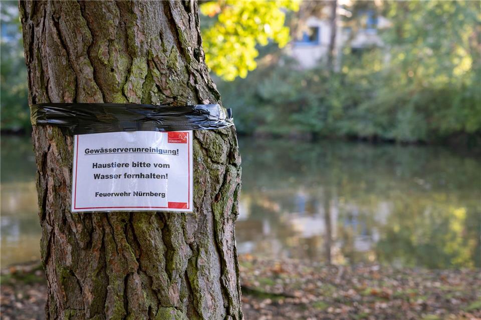 Am Langwassersee in Nürnberg gab es ein rätselhaftes Fischsterben.Daniel Karmann/dpa