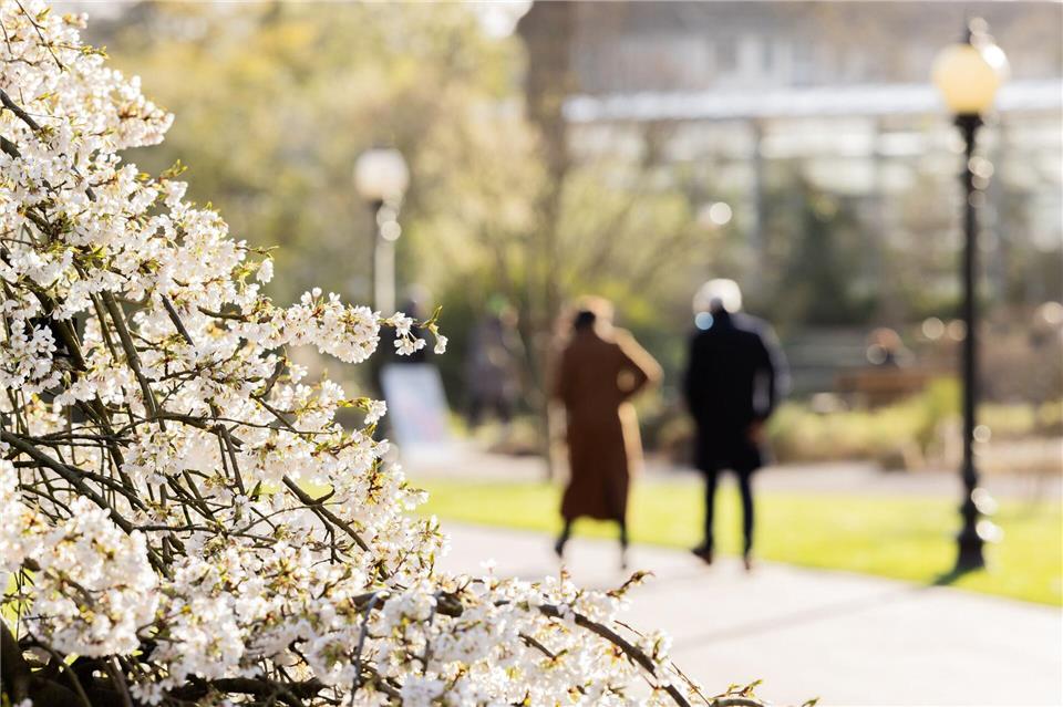 Am Mittwoch und Donnerstag wird das Wetter schön.Rolf Vennenbernd/dpa