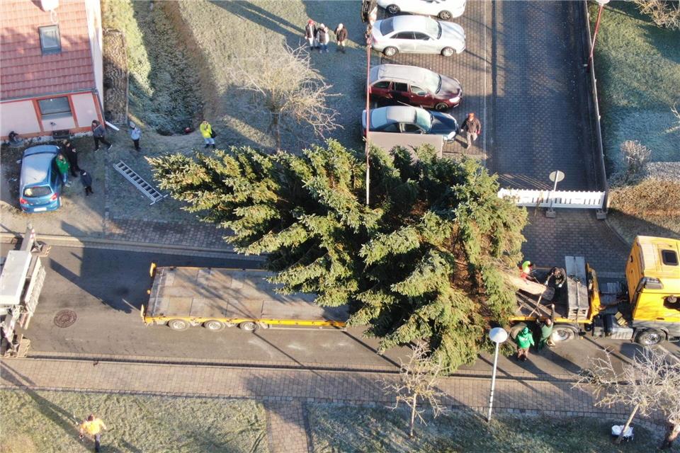 Am Montag soll der Baum in Berlin aufgestellt werden. Tobias Junghannß/dpa