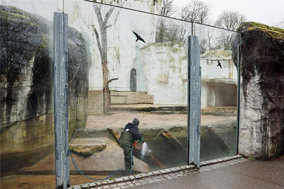 Am Morgen nach dem Vorfall reinigen Zoomitarbeiter die Tiergehege. Timo Deible/Zoo Karlsruhe