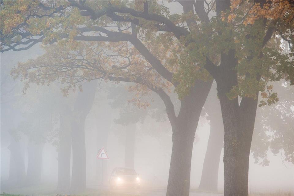 Am Morgen sorgt der Nebel teils für Sichtweiten unter 150 Metern. (Symbolbild)picture alliance/dpa/dpa-Zentralbild