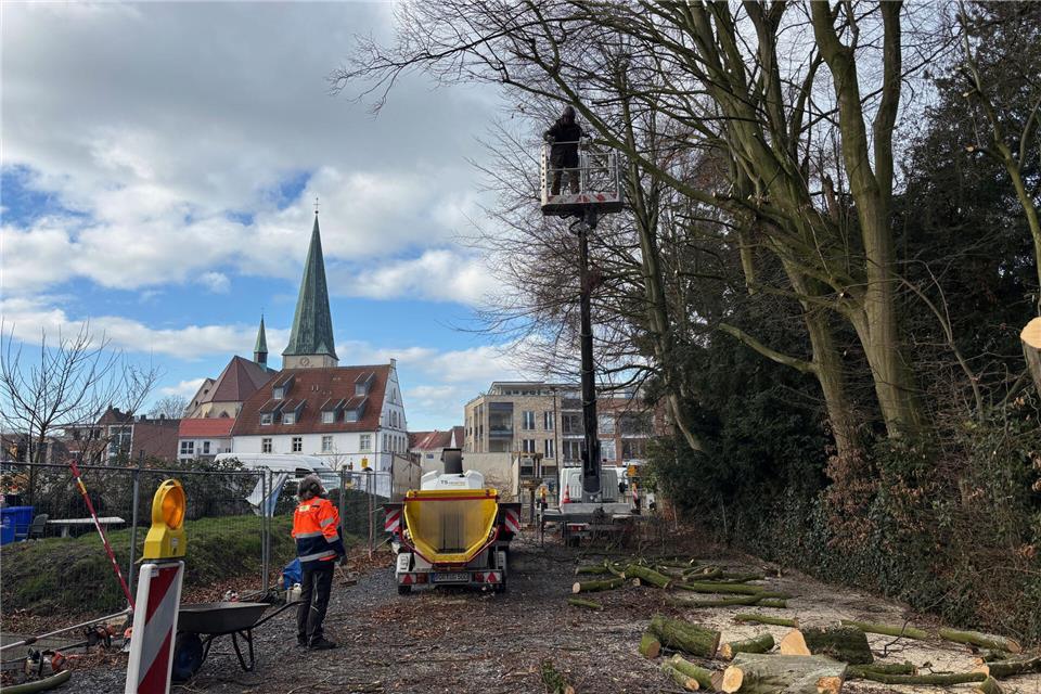 Am Mühlenareal wurden Bäume für die geplante Bebauung zurückgeschnitten.