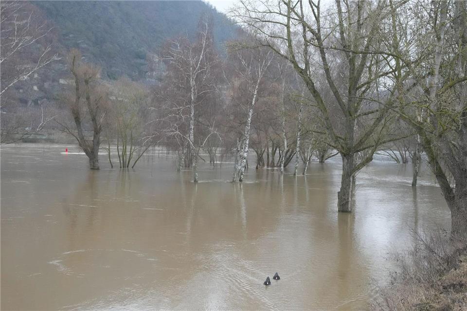 Am Pegel Trier sinkt das Wasser wiederThomas Frey/dpa