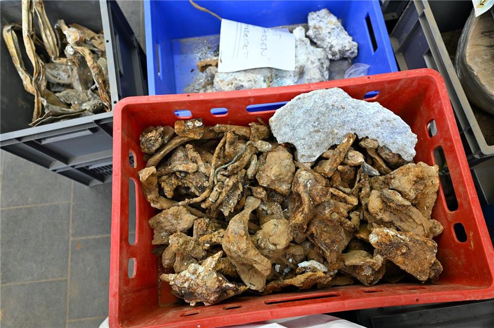 Am Rand des Tagebaus Hambach im Rheinischen Braunkohle-Revier haben Archäologen die Trümmer eines 1943 im Zweiten Weltkrieg abgestürzten britischen Militärflugzeugs geborgen.Federico Gambarini/dpa
